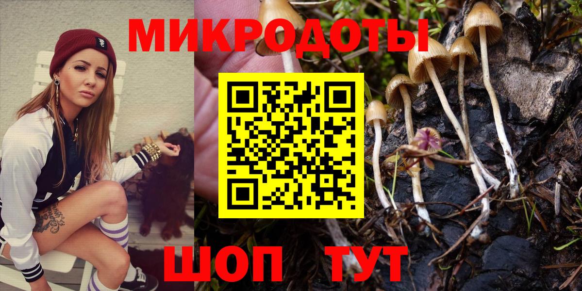 Псилоцибиновые грибы Psilocybine cubensis Звенигород